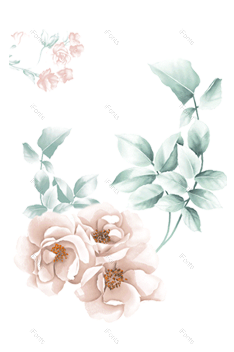 中国风图片,牡丹花元素,插画PNG,花卉免抠素材